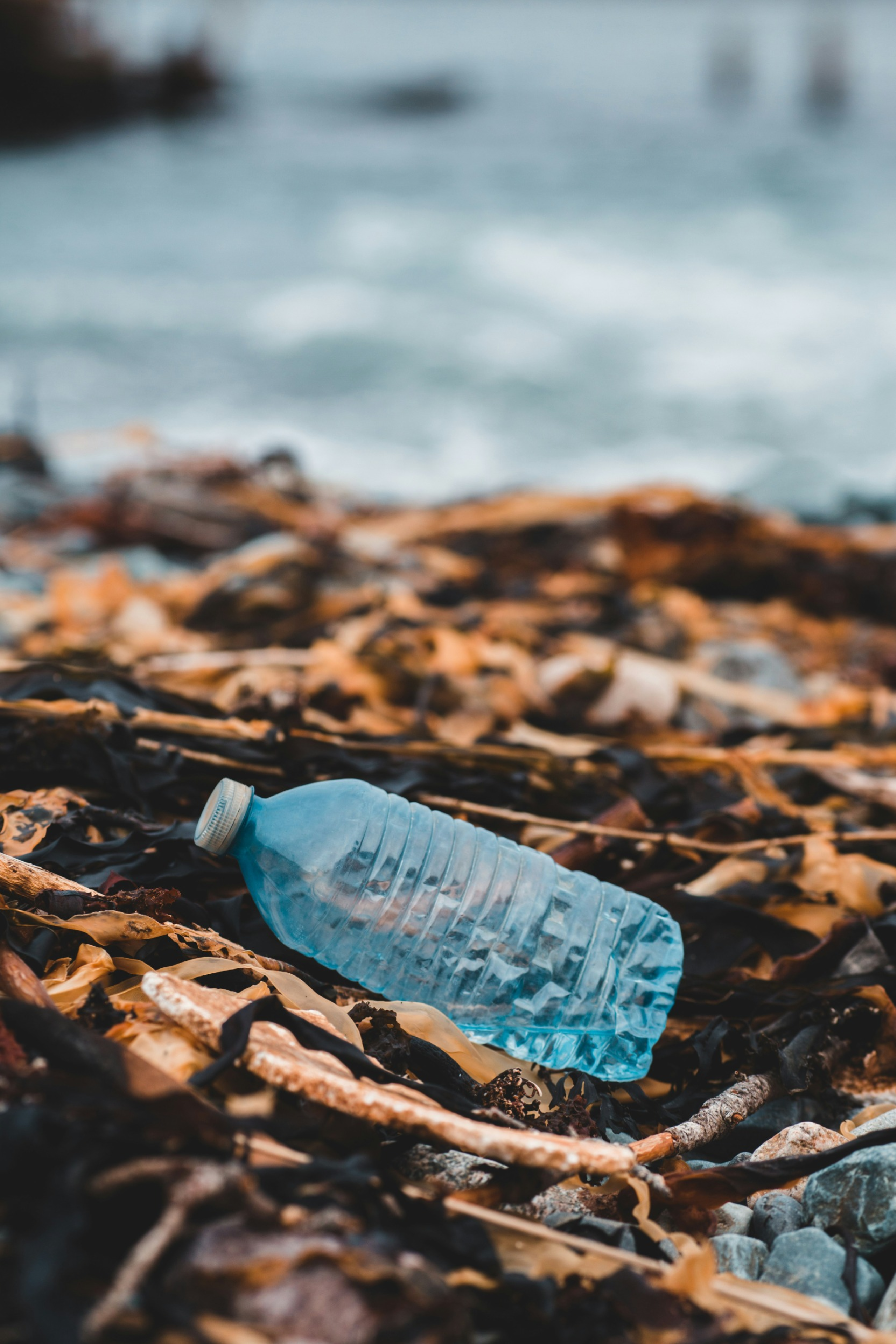 unsplash_GjCx5KhulZI
